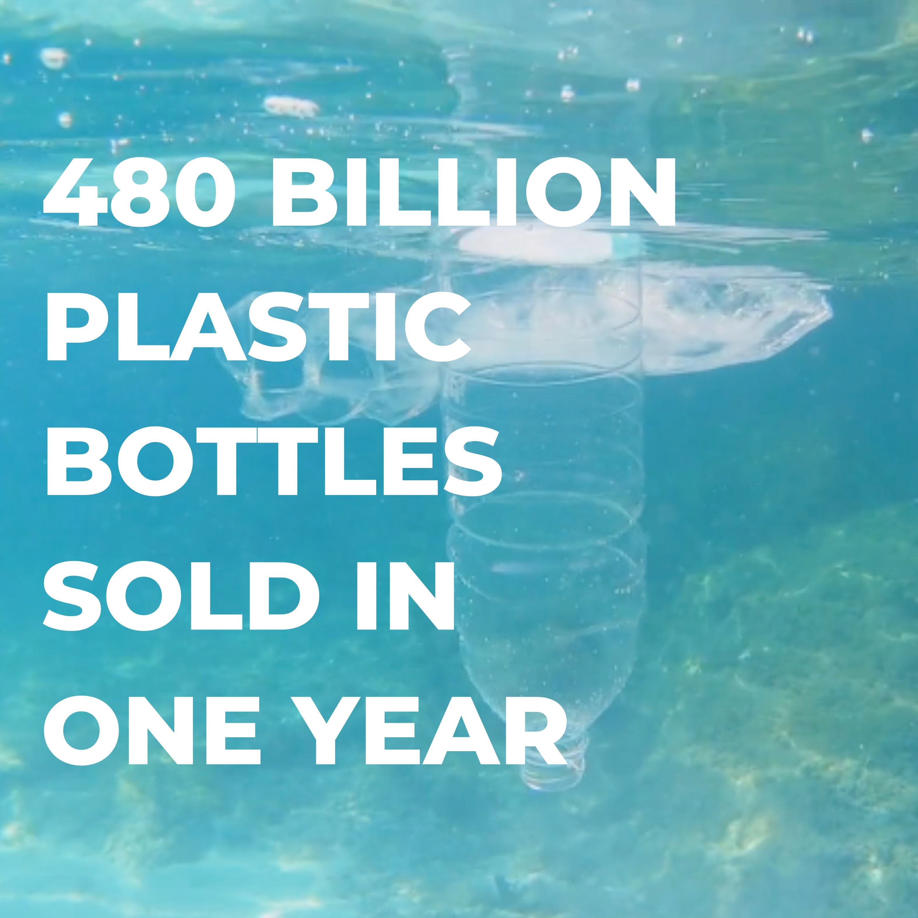 The Remarkable Journey of a Plastic Bottle: A Tale of Sustainability